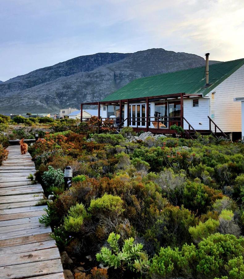 Brandys Beach House Bettys Bay Ngoại thất bức ảnh